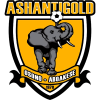 Team logo